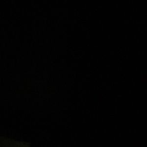 Meet your Posher, Shaun